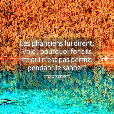 Picture 05 - Marc 2:24 LSG - Les pharisiens lui dirent: Voici, pourquoi - Bible Verse Picture