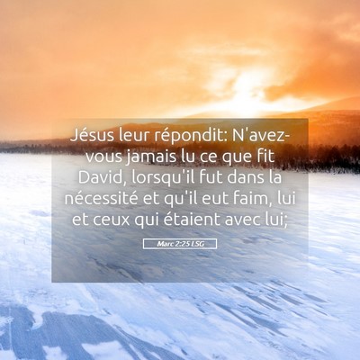 Picture 05 - Marc 2:25 LSG - Jésus leur répondit: N'avez-vous jamais lu ce - Bible Verse Picture