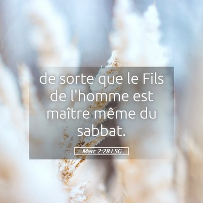 Picture 05 - Marc 2:28 LSG - de sorte que le Fils de l'homme est maître même - Bible Verse Picture
