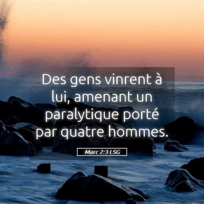 Picture 05 - Marc 2:3 LSG - Des gens vinrent à lui, amenant un paralytique - Bible Verse Picture