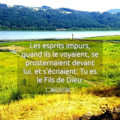 Picture 05 - Marc 3:11 LSG - Les esprits impurs, quand ils le voyaient, se - Bible Verse Picture