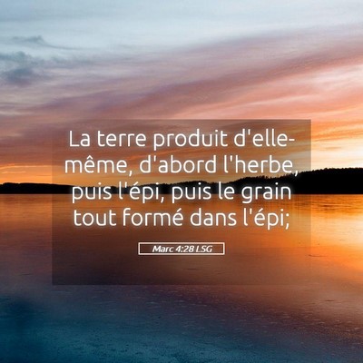 Picture 05 - Marc 4:28 LSG - La terre produit d'elle-même, d'abord l'herbe, - Bible Verse Picture