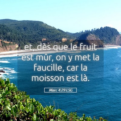 Picture 05 - Marc 4:29 LSG - et, dès que le fruit est mûr, on y met la - Bible Verse Picture