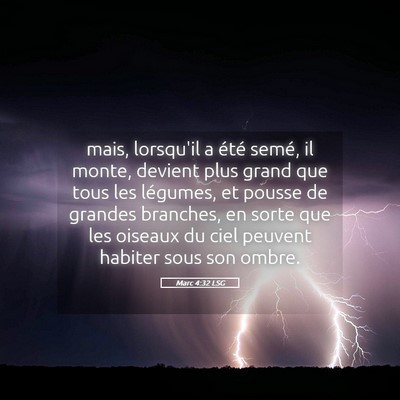 Picture 05 - Marc 4:32 LSG - mais, lorsqu'il a été semé, il monte, devient - Bible Verse Picture
