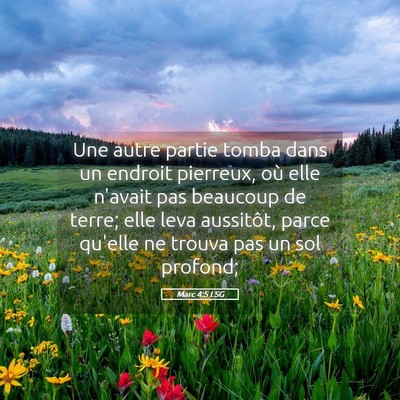 Picture 05 - Marc 4:5 LSG - Une autre partie tomba dans un endroit pierreux, - Bible Verse Picture