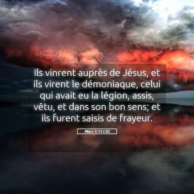 Picture 05 - Marc 5:15 LSG - Ils vinrent auprès de Jésus, et ils virent le - Bible Verse Picture