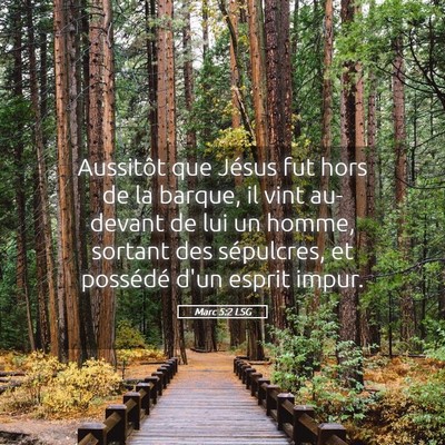 Picture 05 - Marc 5:2 LSG - Aussitôt que Jésus fut hors de la barque, il - Bible Verse Picture