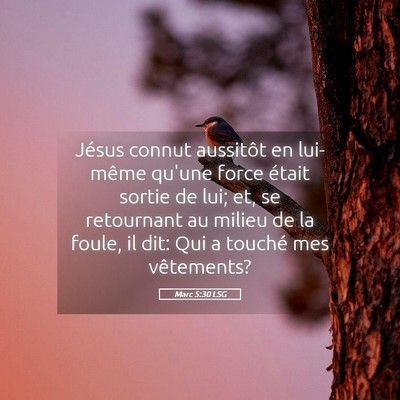 Picture 05 - Marc 5:30 LSG - Jésus connut aussitôt en lui-même qu'une force - Bible Verse Picture