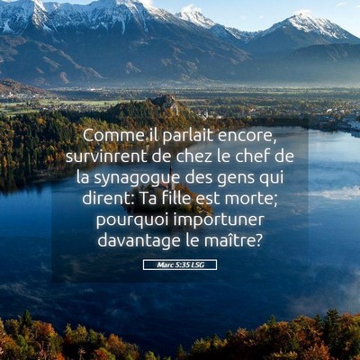 Picture 05 - Marc 5:35 LSG - Comme il parlait encore, survinrent de chez le - Bible Verse Picture