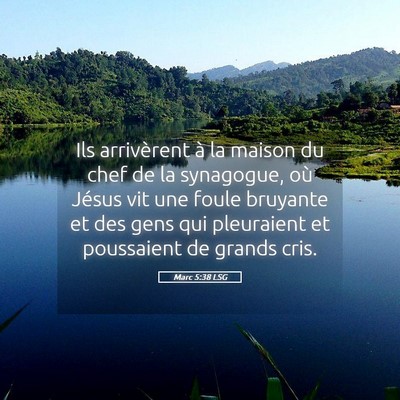 Picture 05 - Marc 5:38 LSG - Ils arrivèrent à la maison du chef de la - Bible Verse Picture