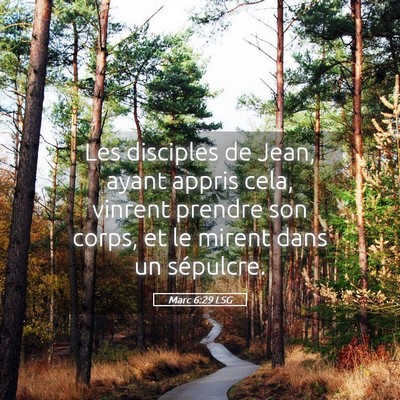 Picture 05 - Marc 6:29 LSG - Les disciples de Jean, ayant appris cela, vinrent - Bible Verse Picture