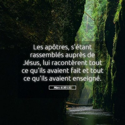Picture 05 - Marc 6:30 LSG - Les apôtres, s'étant rassemblés auprès de - Bible Verse Picture