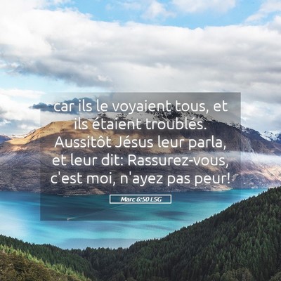 Picture 05 - Marc 6:50 LSG - car ils le voyaient tous, et ils étaient - Bible Verse Picture