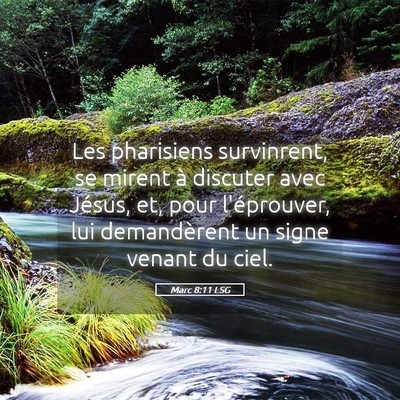 Picture 05 - Marc 8:11 LSG - Les pharisiens survinrent, se mirent à discuter - Bible Verse Picture