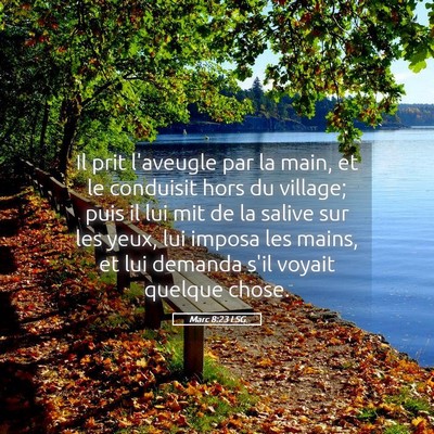 Picture 05 - Marc 8:23 LSG - Il prit l'aveugle par la main, et le conduisit - Bible Verse Picture