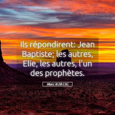 Picture 05 - Marc 8:28 LSG - Ils répondirent: Jean Baptiste; les autres, - Bible Verse Picture