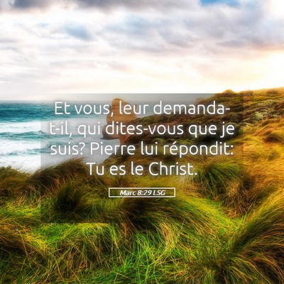 Picture 05 - Marc 8:29 LSG - Et vous, leur demanda-t-il, qui dites-vous que je - Bible Verse Picture
