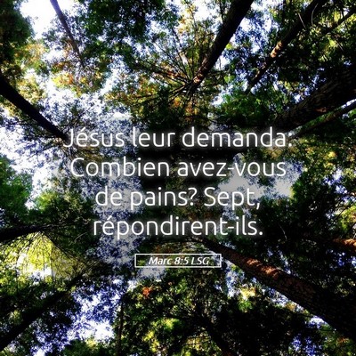 Picture 05 - Marc 8:5 LSG - Jésus leur demanda: Combien avez-vous de pains? - Bible Verse Picture