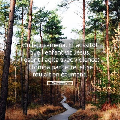 Picture 05 - Marc 9:20 LSG - On le lui amena. Et aussitôt que l'enfant vit - Bible Verse Picture