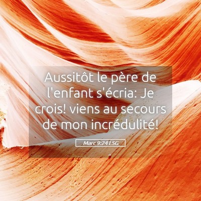 Picture 05 - Marc 9:24 LSG - Aussitôt le père de l'enfant s'écria: Je - Bible Verse Picture