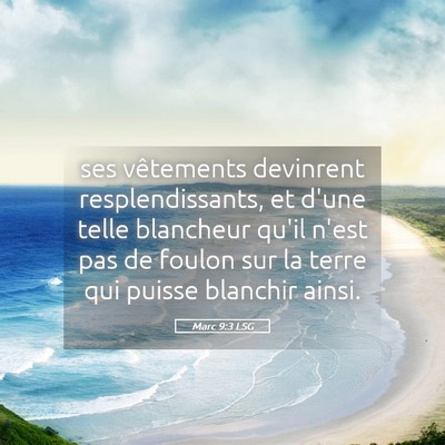 Picture 05 - Marc 9:3 LSG - ses vêtements devinrent resplendissants, et - Bible Verse Picture