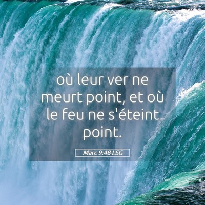 Picture 05 - Marc 9:48 LSG - où leur ver ne meurt point, et où le feu ne - Bible Verse Picture