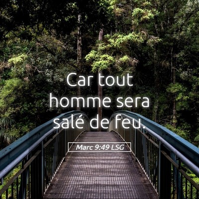 Picture 05 - Marc 9:49 LSG - Car tout homme sera salé de - Bible Verse Picture