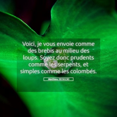 Picture 05 - Matthieu 10:16 LSG - Voici, je vous envoie comme des brebis au milieu - Bible Verse Picture
