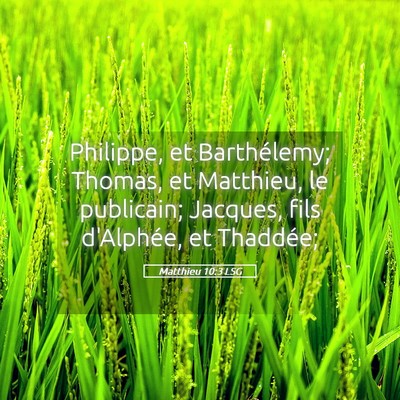 Picture 05 - Matthieu 10:3 LSG - Philippe, et Barthélemy; Thomas, et Matthieu, le - Bible Verse Picture