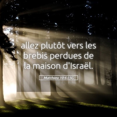 Picture 05 - Matthieu 10:6 LSG - allez plutôt vers les brebis perdues de la - Bible Verse Picture