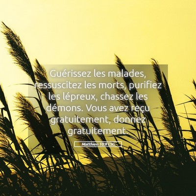 Picture 05 - Matthieu 10:8 LSG - Guérissez les malades, ressuscitez les morts, - Bible Verse Picture