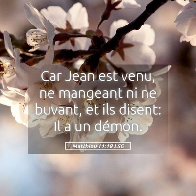 Picture 05 - Matthieu 11:18 LSG - Car Jean est venu, ne mangeant ni ne buvant, et - Bible Verse Picture