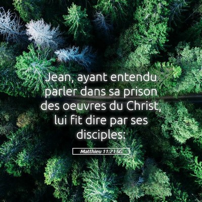 Picture 05 - Matthieu 11:2 LSG - Jean, ayant entendu parler dans sa prison des - Bible Verse Picture