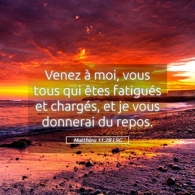 Picture 05 - Matthieu 11:28 LSG - Venez à moi, vous tous qui êtes fatigués et - Bible Verse Picture
