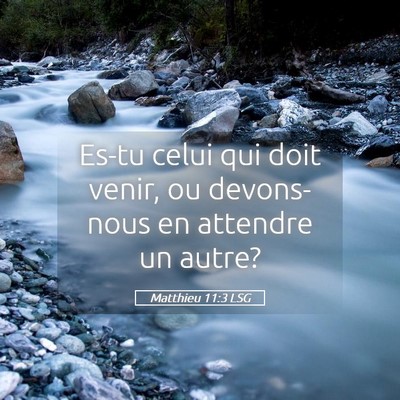 Picture 05 - Matthieu 11:3 LSG - Es-tu celui qui doit venir, ou devons-nous en - Bible Verse Picture