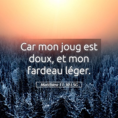 Picture 05 - Matthieu 11:30 LSG - Car mon joug est doux, et mon fardeau - Bible Verse Picture