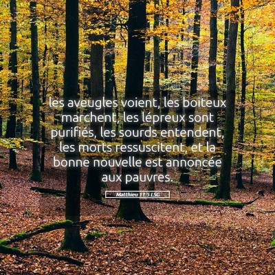 Picture 05 - Matthieu 11:5 LSG - les aveugles voient, les boiteux marchent, les - Bible Verse Picture
