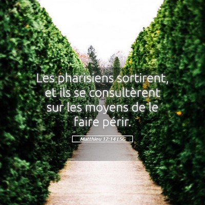 Picture 05 - Matthieu 12:14 LSG - Les pharisiens sortirent, et ils se consultèrent - Bible Verse Picture