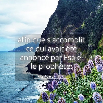 Picture 05 - Matthieu 12:17 LSG - afin que s'accomplît ce qui avait été annoncé - Bible Verse Picture