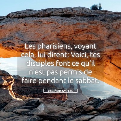 Picture 05 - Matthieu 12:2 LSG - Les pharisiens, voyant cela, lui dirent: Voici, - Bible Verse Picture