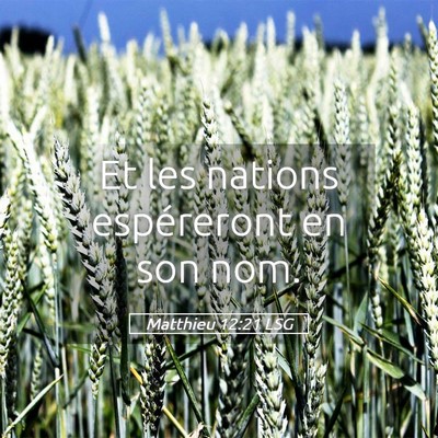 Picture 05 - Matthieu 12:21 LSG - Et les nations espéreront en son - Bible Verse Picture