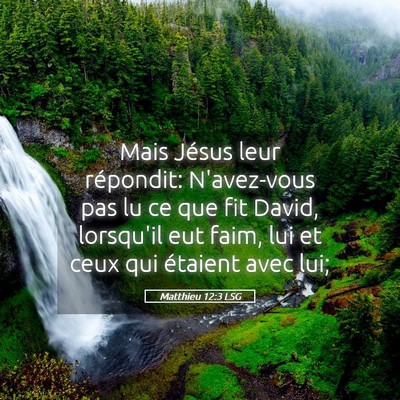 Picture 05 - Matthieu 12:3 LSG - Mais Jésus leur répondit: N'avez-vous pas lu ce - Bible Verse Picture