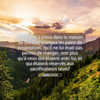Picture 05 - Matthieu 12:4 LSG - comment il entra dans la maison de Dieu, et - Bible Verse Picture