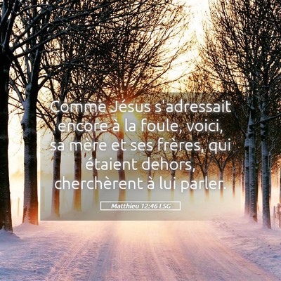 Picture 05 - Matthieu 12:46 LSG - Comme Jésus s'adressait encore à la foule, - Bible Verse Picture