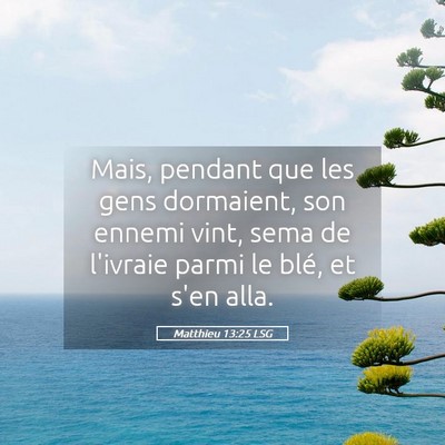 Picture 05 - Matthieu 13:25 LSG - Mais, pendant que les gens dormaient, son ennemi - Bible Verse Picture
