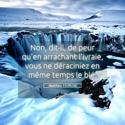 Picture 05 - Matthieu 13:29 LSG - Non, dit-il, de peur qu'en arrachant l'ivraie, - Bible Verse Picture