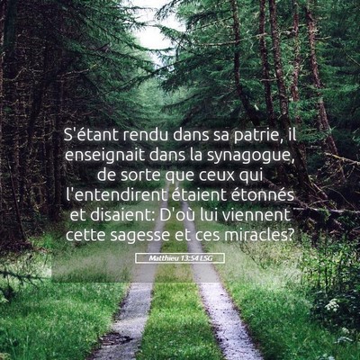 Picture 05 - Matthieu 13:54 LSG - S'étant rendu dans sa patrie, il enseignait dans - Bible Verse Picture