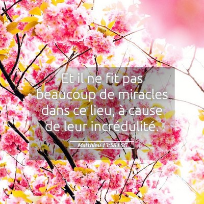 Picture 05 - Matthieu 13:58 LSG - Et il ne fit pas beaucoup de miracles dans ce - Bible Verse Picture