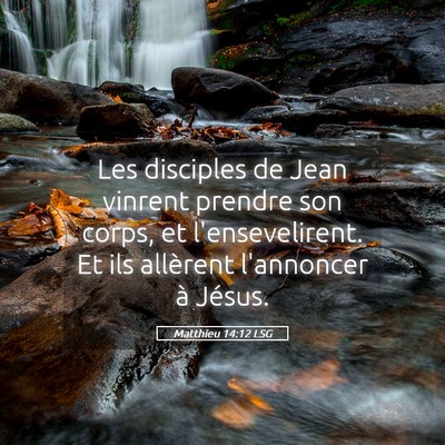 Picture 05 - Matthieu 14:12 LSG - Les disciples de Jean vinrent prendre son corps, - Bible Verse Picture