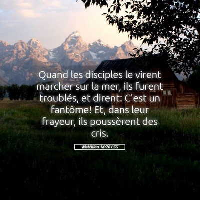 Picture 05 - Matthieu 14:26 LSG - Quand les disciples le virent marcher sur la mer, - Bible Verse Picture
